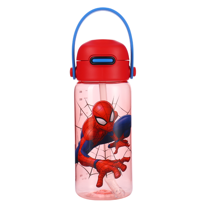 DISNEY Tritan Bottle 750ml CJML22004-S-R